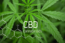 CBD trong chăm sóc da: Bí quyết làm đẹp từ Cannabidiol